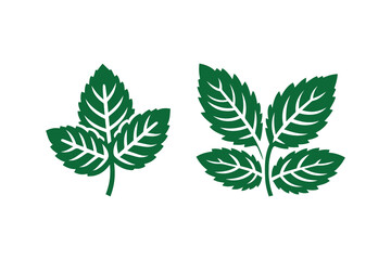 simple and unobtrusive Mint leaf vector silhouette illustration isolated in white background