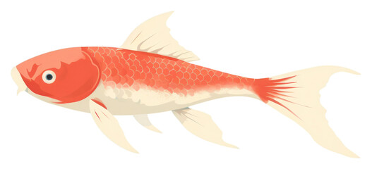 PNG Koi fish animal underwater goldfish.