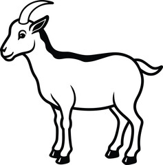 goat on white background