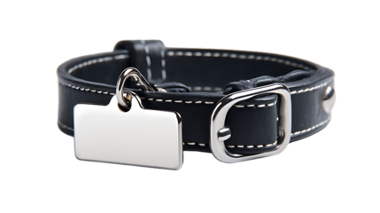 A close up of a black leather dog collar with a silver buckle and tag on a black background studio shot