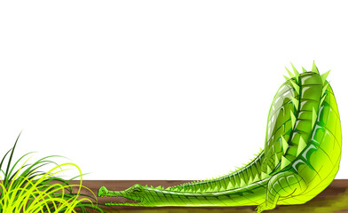 Naklejka premium green grass background animal