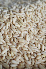 Pine nuts spread across a textured surface in natural light