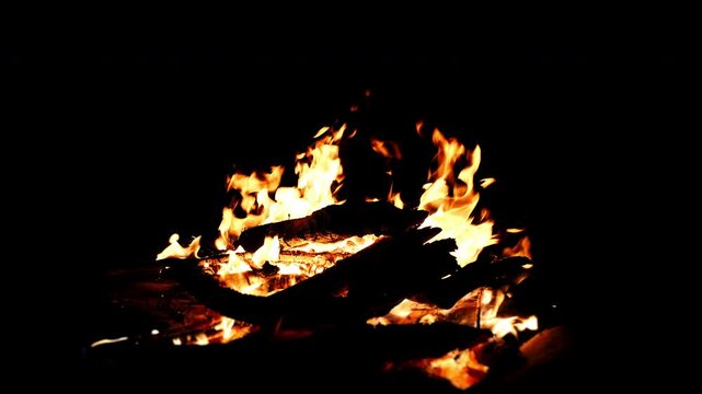 Burning tongues of fire flame in slow motion on a black background. Burning fire from a campfire. Blazing flame of a torch.