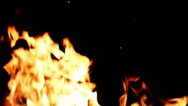 Burning tongues of fire flame in slow motion on a black background. Burning fire from a campfire. Blazing flame of a torch.