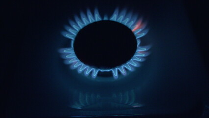 Experience the Blue Flame Gas Burner efficiently in action as it cooks your meals