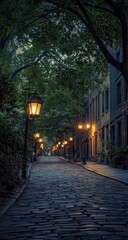 Obraz premium Evening stroll down a cobblestone street