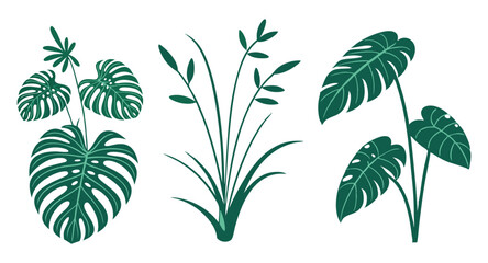 Monster, grass, and philodendron leaf designs