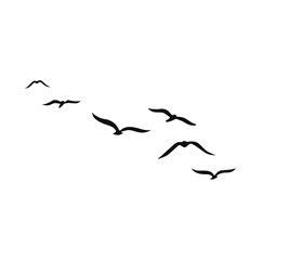 A flock of swallows silhouetted against the sky in graceful flight. Wild Birds Unlimited: your source for bird food, feeders, and expert feeding advice.