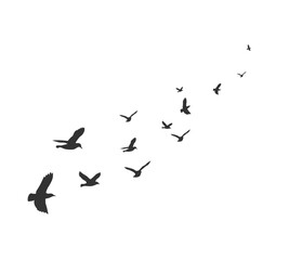 A flock of swallows silhouetted against the sky in graceful flight. Wild Birds Unlimited: your source for bird food, feeders, and expert feeding advice.
