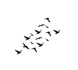 A flock of swallows silhouetted against the sky in graceful flight. Wild Birds Unlimited: your source for bird food, feeders, and expert feeding advice.