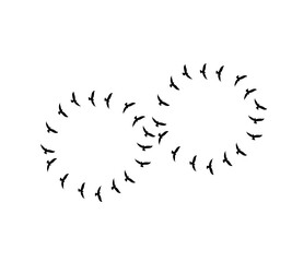 A flock of swallows silhouetted against the sky in graceful flight. Wild Birds Unlimited: your source for bird food, feeders, and expert feeding advice.