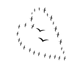 A flock of swallows silhouetted against the sky in graceful flight. Wild Birds Unlimited: your source for bird food, feeders, and expert feeding advice.
