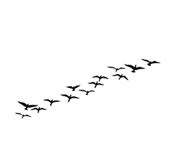 A flock of swallows silhouetted against the sky in graceful flight. Wild Birds Unlimited: your source for bird food, feeders, and expert feeding advice.