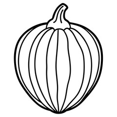 Acorn Squash line art vector