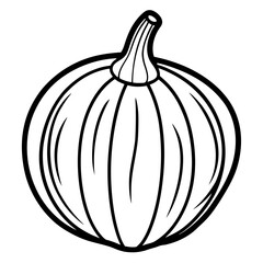 Acorn Squash line art vector