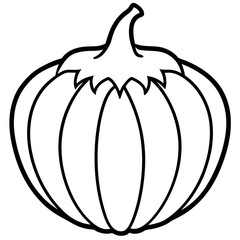 Acorn Squash line art vector