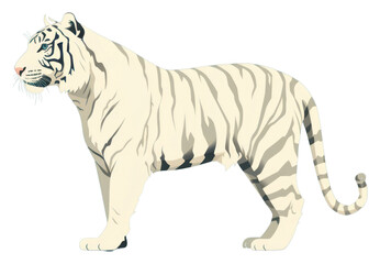 Obraz premium PNG White tiger wildlife animal mammal.