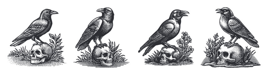 Naklejka premium Engraved Illustration of Crows Perched on Skulls with Flora Elements
