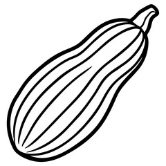 Minimalist Delicata Squash Vector Icon
