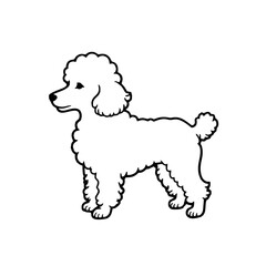 Poodle Logo Simple Outline Vector Illustration