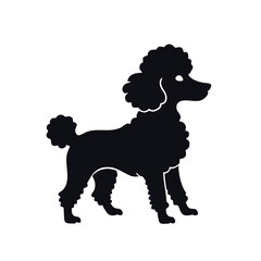 Cute Silhouette Poodle Logo Simple Outline