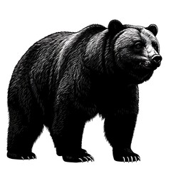 Fototapeta premium Guardian of the Shadows