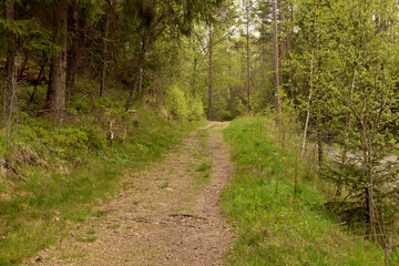 Path