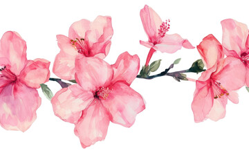 PNG  Pink flower blossom nature petal.