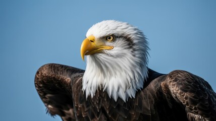 Fototapeta premium Colorful chameleon is perched gracefully upon a delicate branch against clean white backdrop.
