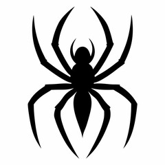 black spider isolated on white