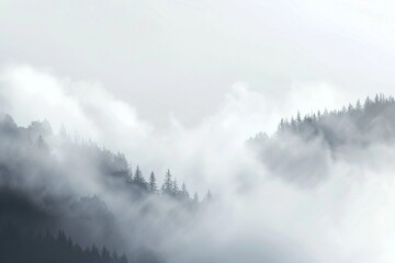 Fototapeta premium vector realistic fog background