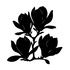 Obraz premium Magnolia Nocturne