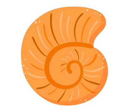 seashell orange animal clipart beach summer illustration