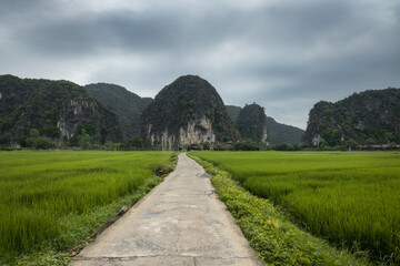 Path among scenic rice fields towards limestone karst mountains in Tam Coc tourism and heritage area of Ninh Binh in Vietnam