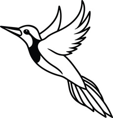 Obraz premium flying Woodpecker Line Art