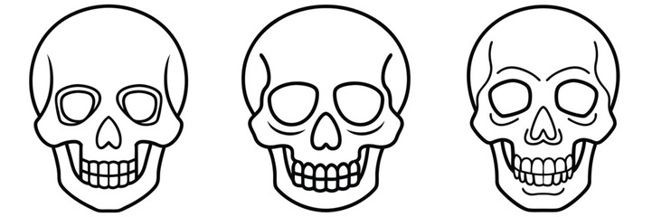 Detailed Human Skull Illustrations, bundle of skulls