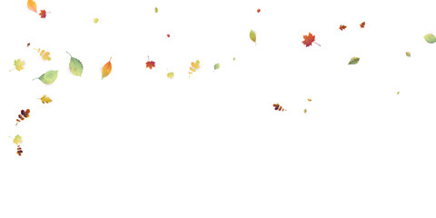 Leaves Falling Autumn Foliage Chaotic Leaf Flying