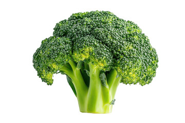 Isolated close up of a fresh green broccoli floret on a dark background on transparent background png