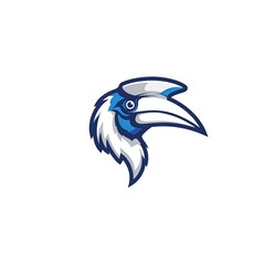 Hornbill  head vector illustration
