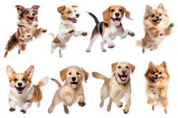 Happy jumping dogs png element set on transparent background