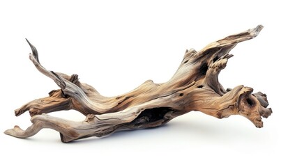 Weathered Driftwood Piece Isolated on White Background