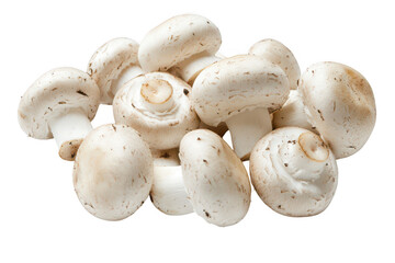 Close up view of a cluster of fresh champignon mushrooms on dark background on transparent background png