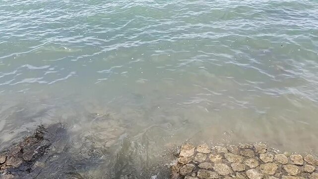 Serene Clear Ocean Water by a Rocky Coastline