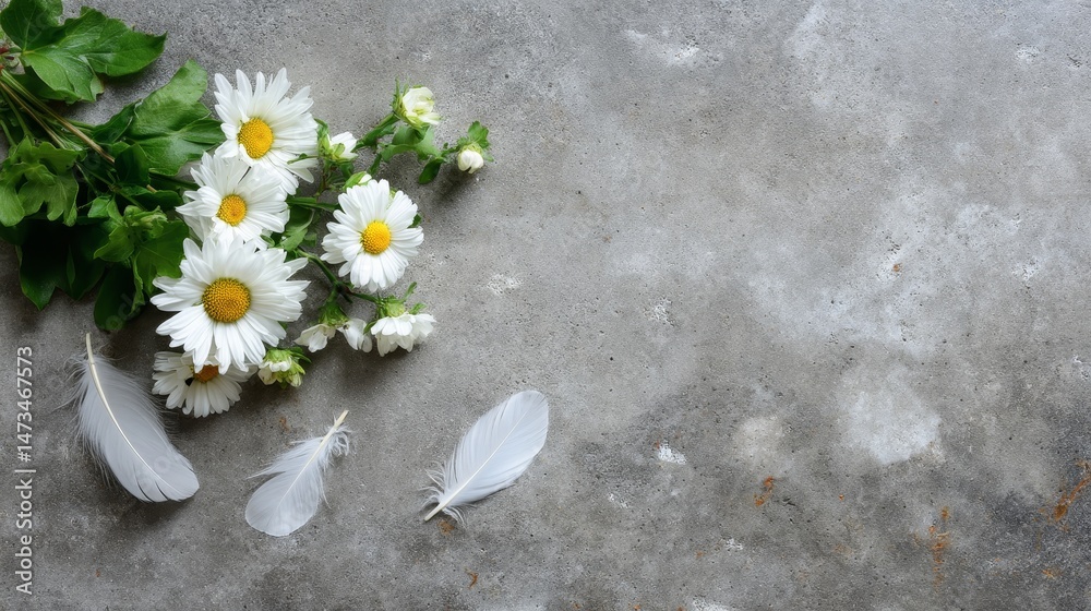 Aufkleber A charming hand-drawn banner features vibrant daisies and soft feathers, creating a delightful springtime atmosphere with ample copy space on the left