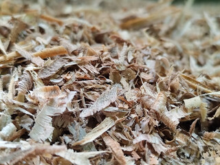 Coarse sawdust from wood chips.