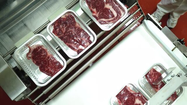 Automated meat packing system