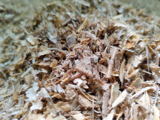 Coarse sawdust from wood chips.