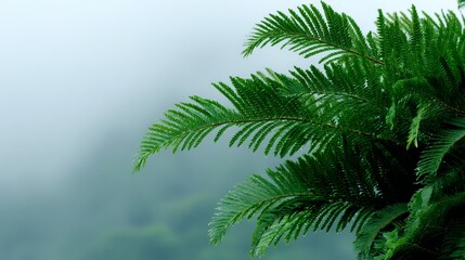 A close-up view captures the lush detail of a tropical fern's fronds amidst a foggy jungle backdrop, inviting exploration in a vibrant wilderness