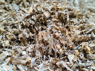 Coarse sawdust from wood chips.