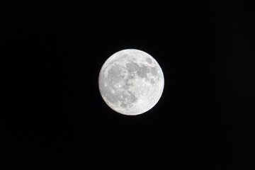 Full moon shines brightly against a dark sky, illuminating the night atmosphere with celestial beauty
